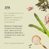 Zita Ayurveda Shatayur – Immunity Booster with Saffron & Cardamom - 100 gms